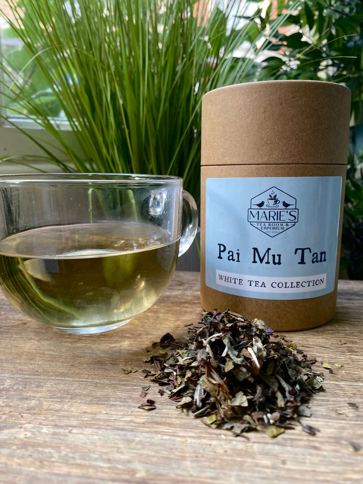 Tea - White - Pai Mu Tan