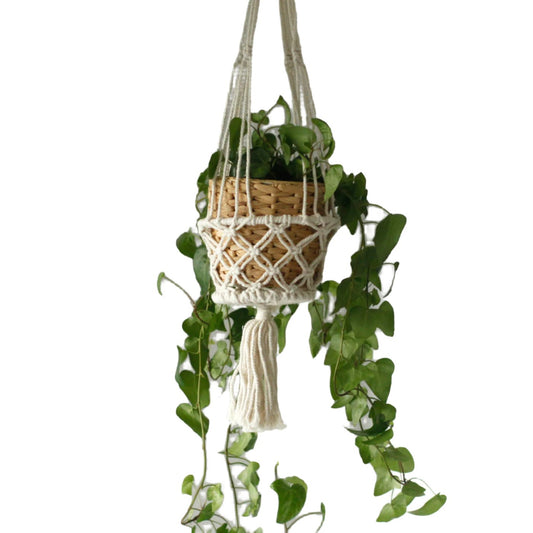 Macrame - Pot Holder - Lrg Single Beaded