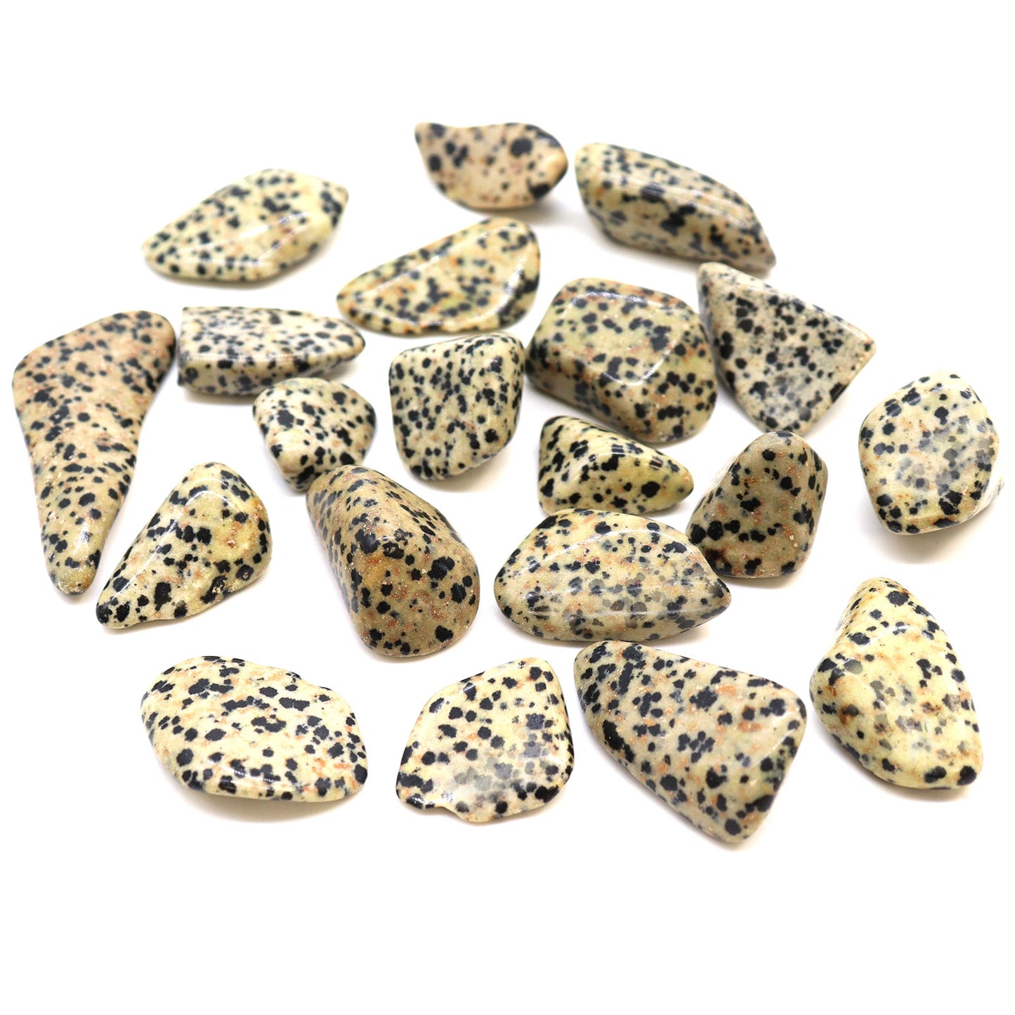 Tumblestone - Jasper Dalmation Stone