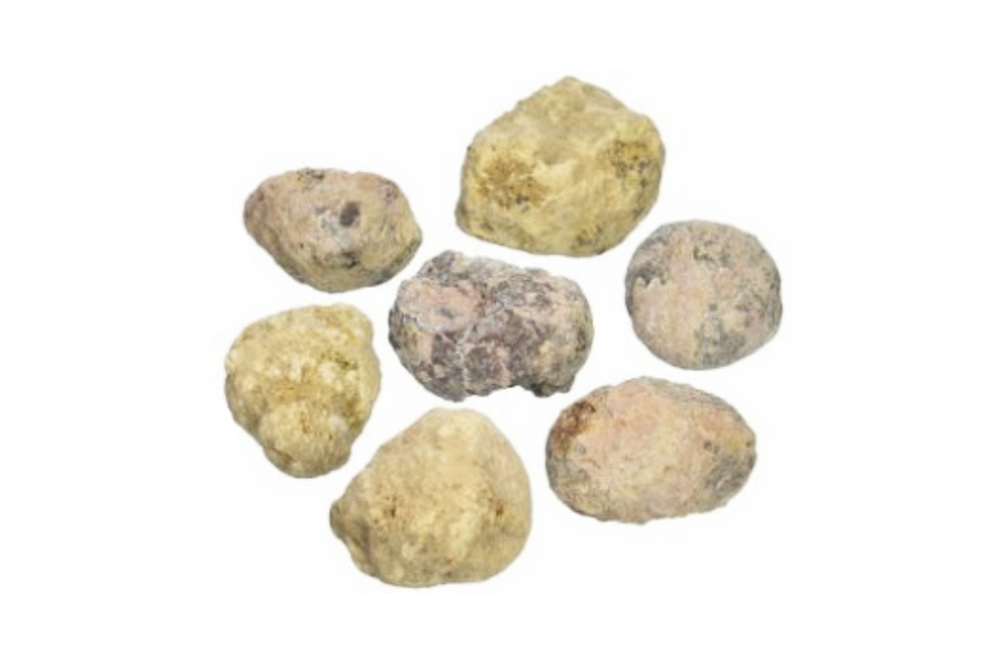 Specialist Specimen - Geode Unopened