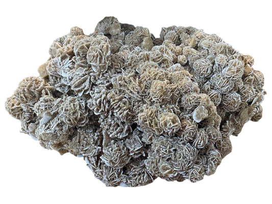 Specialist Specimen - Rough Cut - Desert Rose