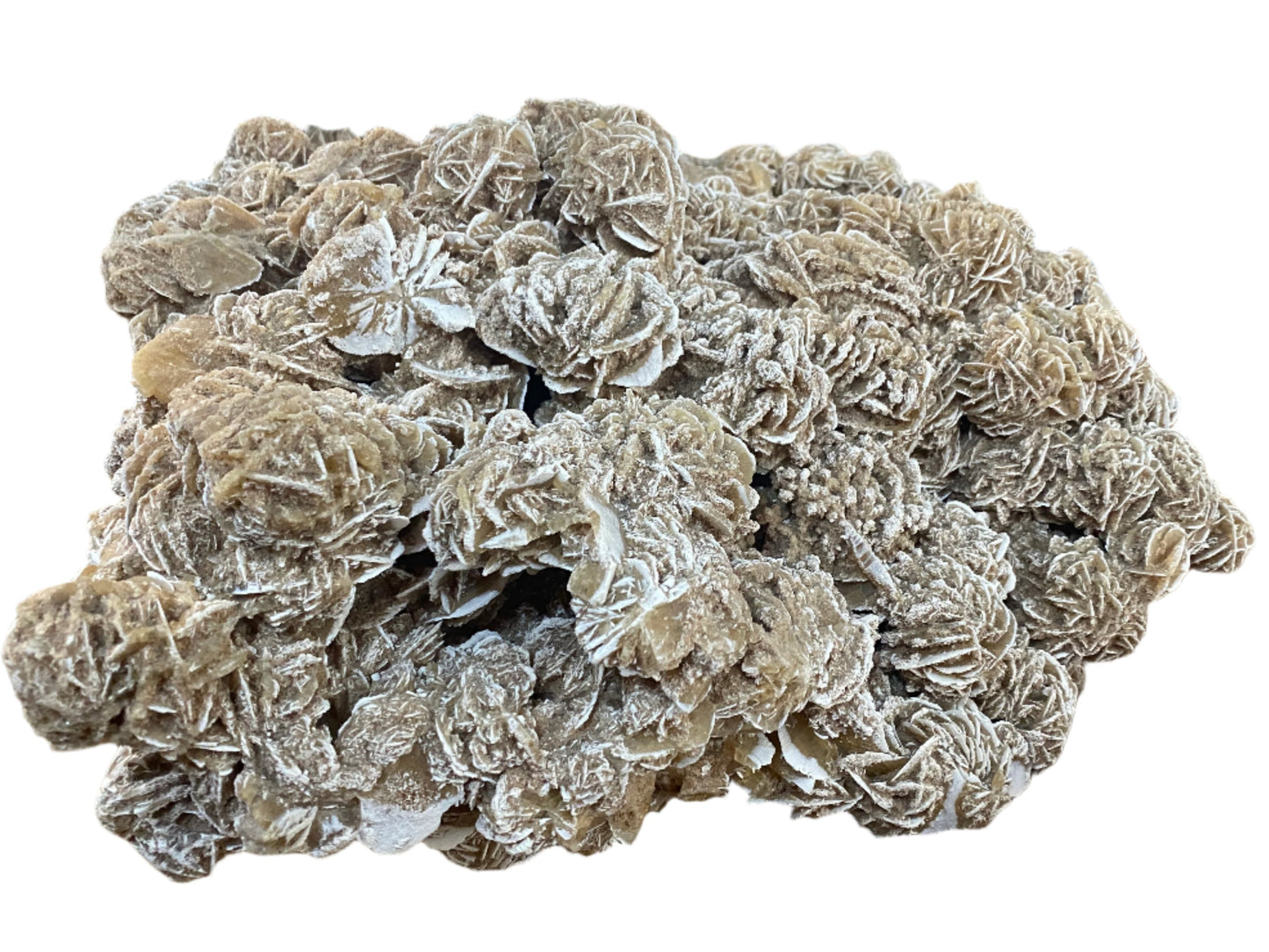 Specialist Specimen - Rough Cut - Desert Rose