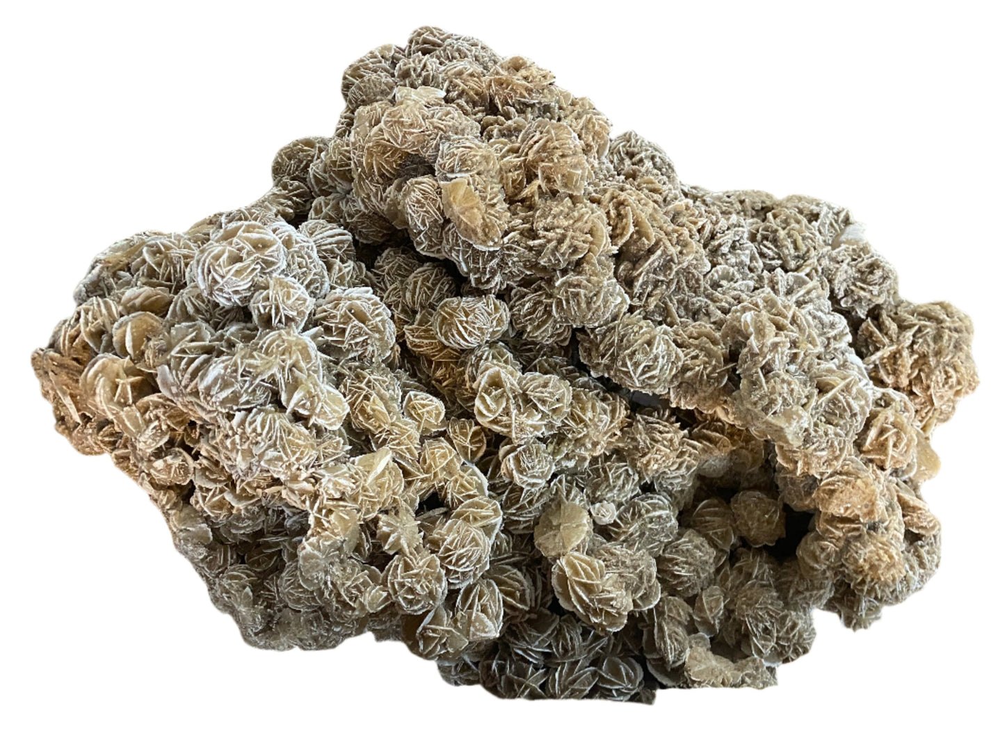 Specialist Specimen - Rough Cut - Desert Rose