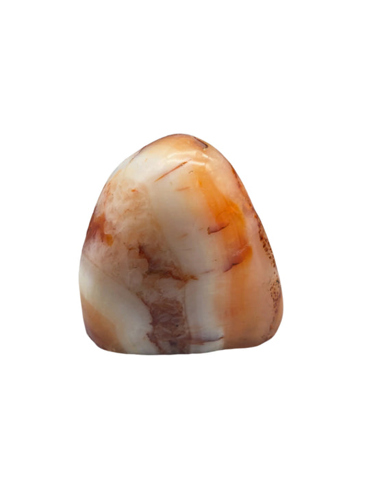 Specialist Specimen - Tumblestone - Free Form - Carnelian