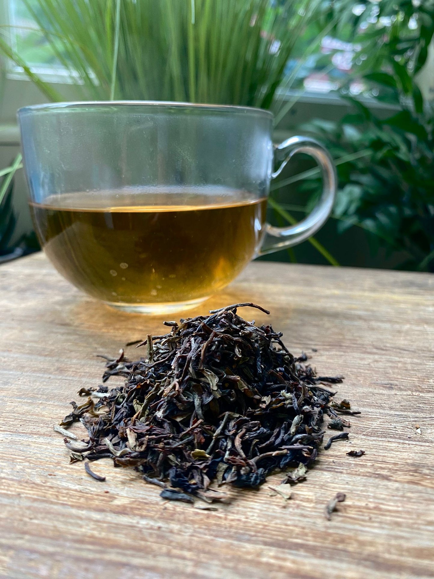 Tea - Black - First Flush Darjeeling
