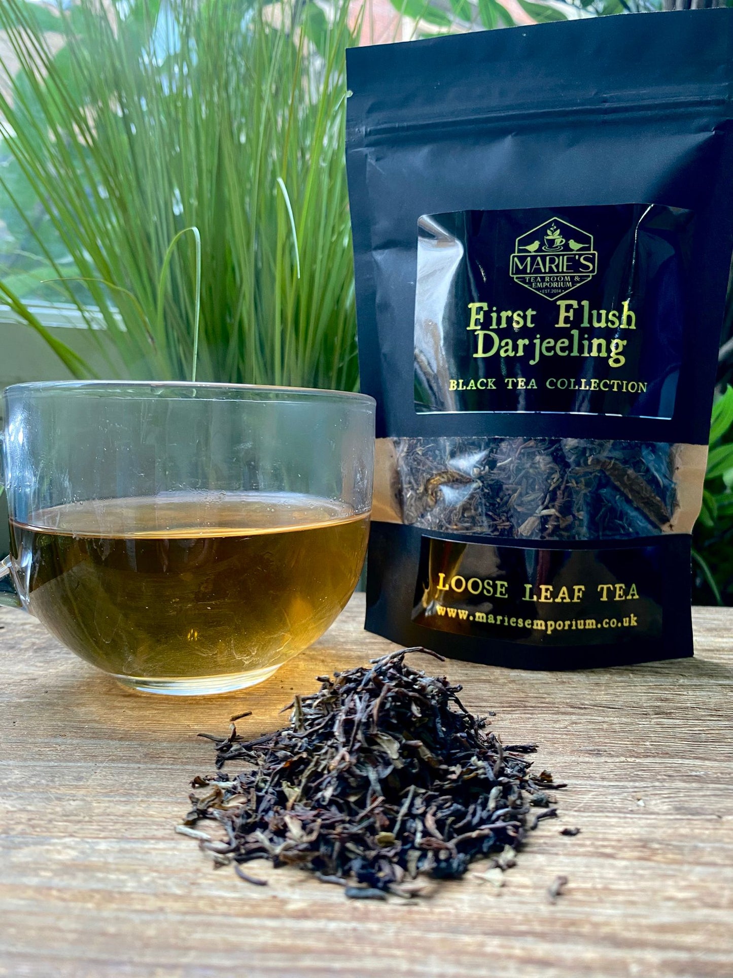 Tea - Black - First Flush Darjeeling