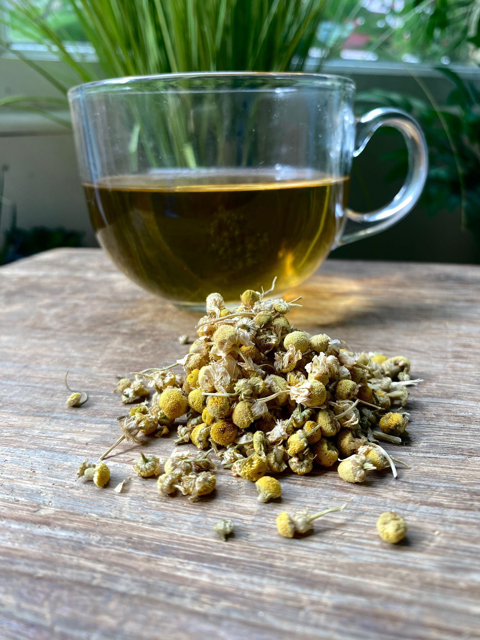 Marie’s chamomile loose leaf tea with brewed herbal tea in a clear glass mug and loose tea leaves on a wooden surface