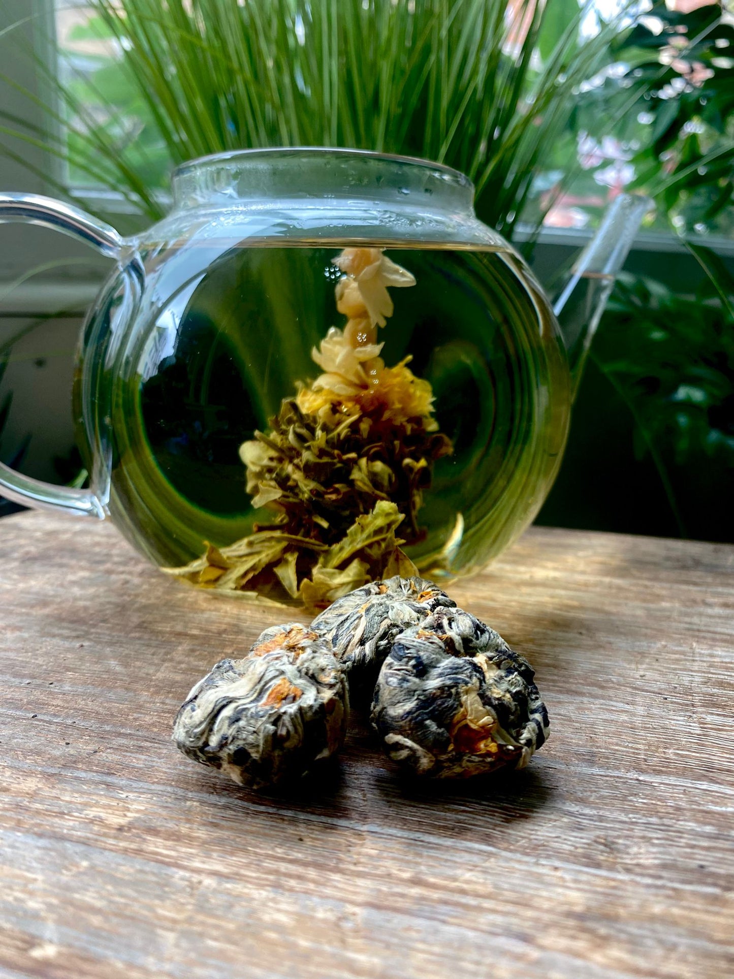 A glass teapot with Flowering Jasmine Green. Three tea balls of loose leaf tea are in the foreground on a wooden table. Lush green foliage in the background.