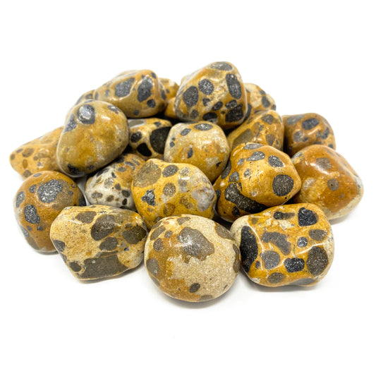 Tumblestone - Jasper Leopard Skin XL