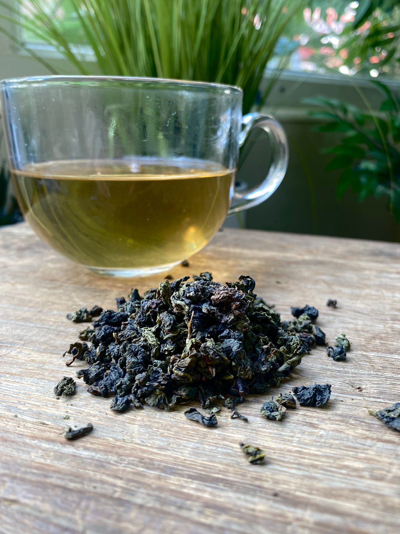 Clear glass mug with maries oolong blue tea and dried tea leaves on a wooden surface with plants in the backgroundie