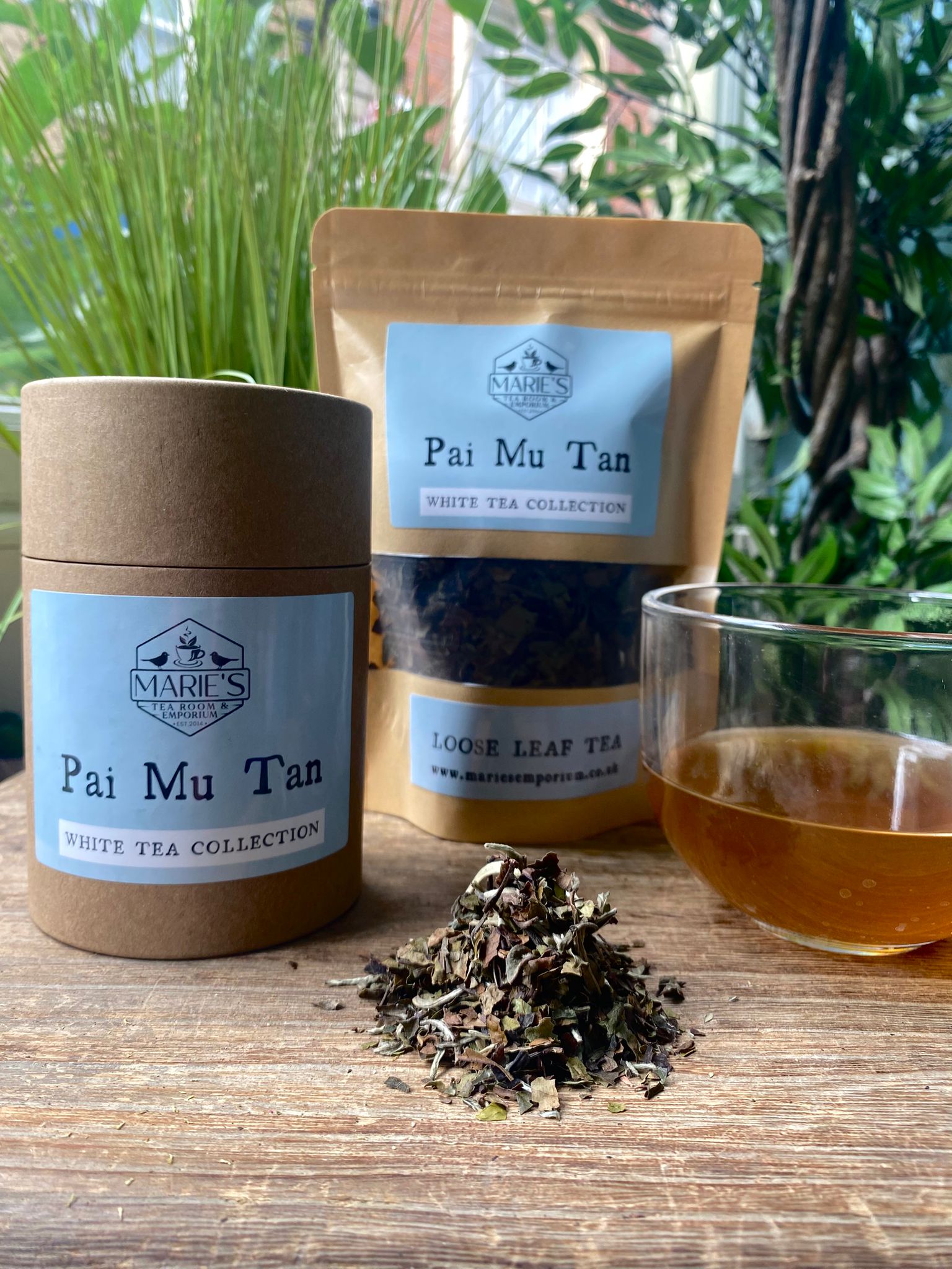 Maries Pai Mu Tan tea packaging and loose leaves on a wooden surface with plants in the background