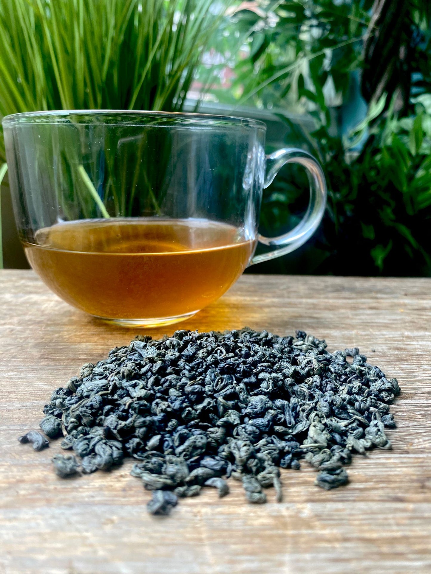 Clear glass mug with pinhead gunpowder loose leaf tea and dried tea leaves on a wooden surface with greenery in the background