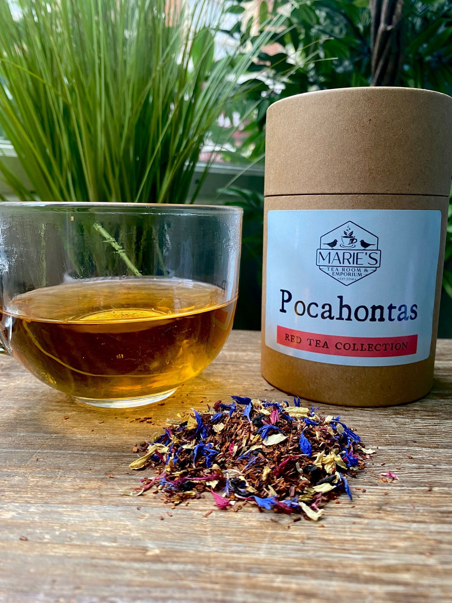 A clear glass cup of golden tea sits on a wooden surface Loose leaf tea labeled "Pocahontas" from Marie's Emporium, in brown tube of red tea and colorful loose tea leaves. Green plants are blurred in the background.