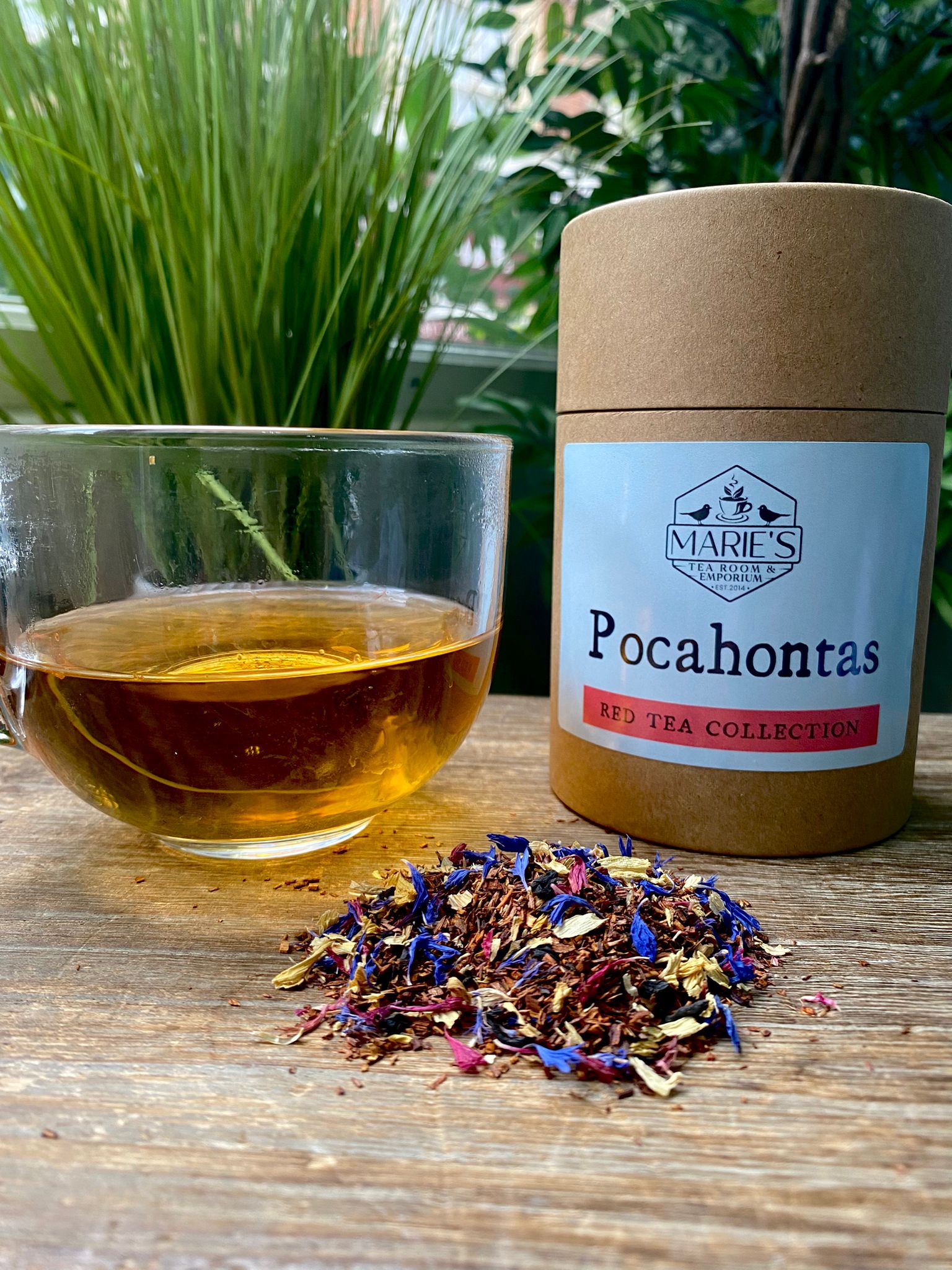 A clear glass cup of golden tea sits on a wooden surface Loose leaf tea labeled "Pocahontas" from Marie's Emporium, in brown tube of red tea and colorful loose tea leaves. Green plants are blurred in the background.