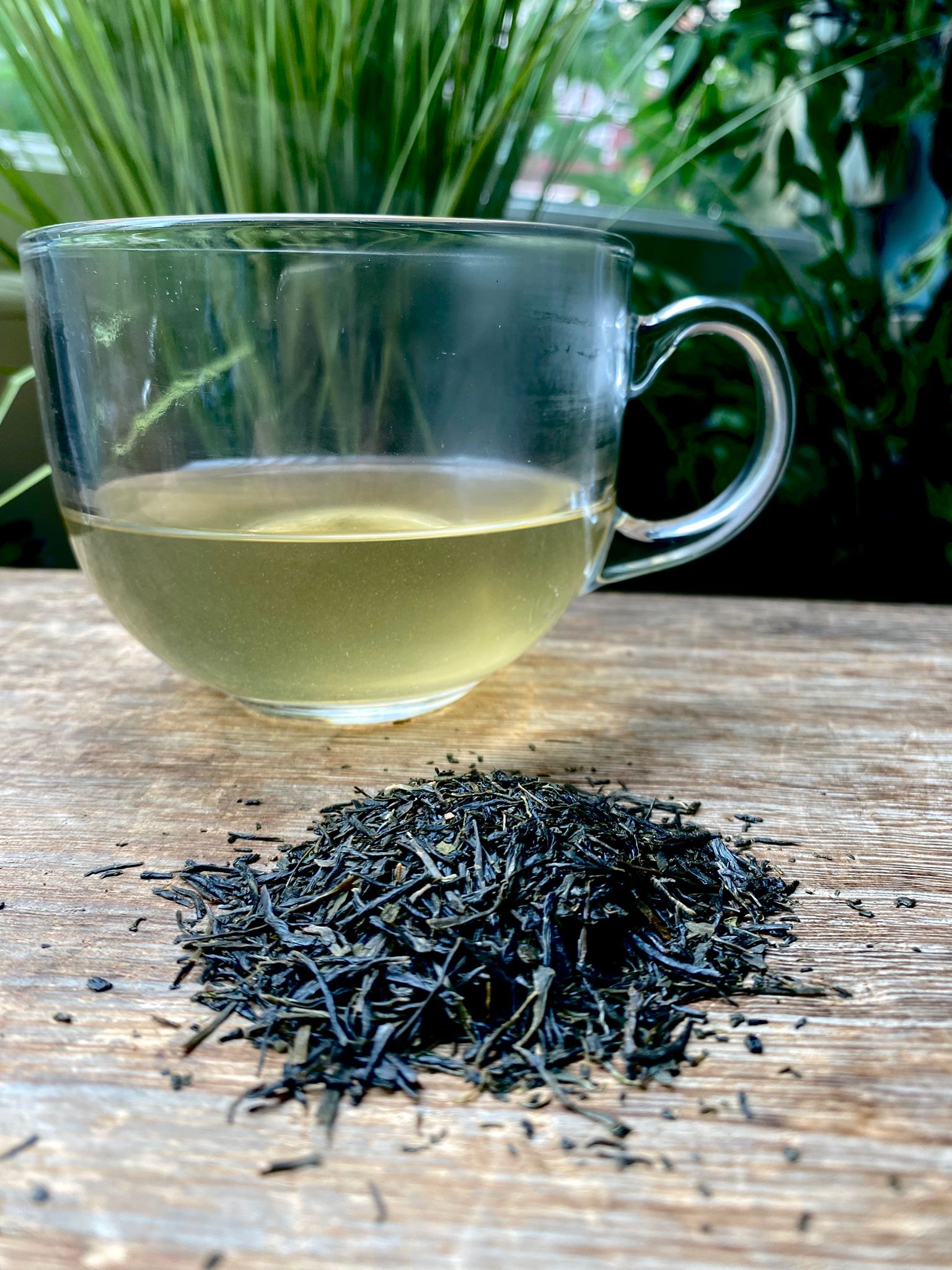Clear glass mug of steaming Sencha Gyokuro loose leaf tea, with loose green tea leaves on a wooden surface and greenery in the background.