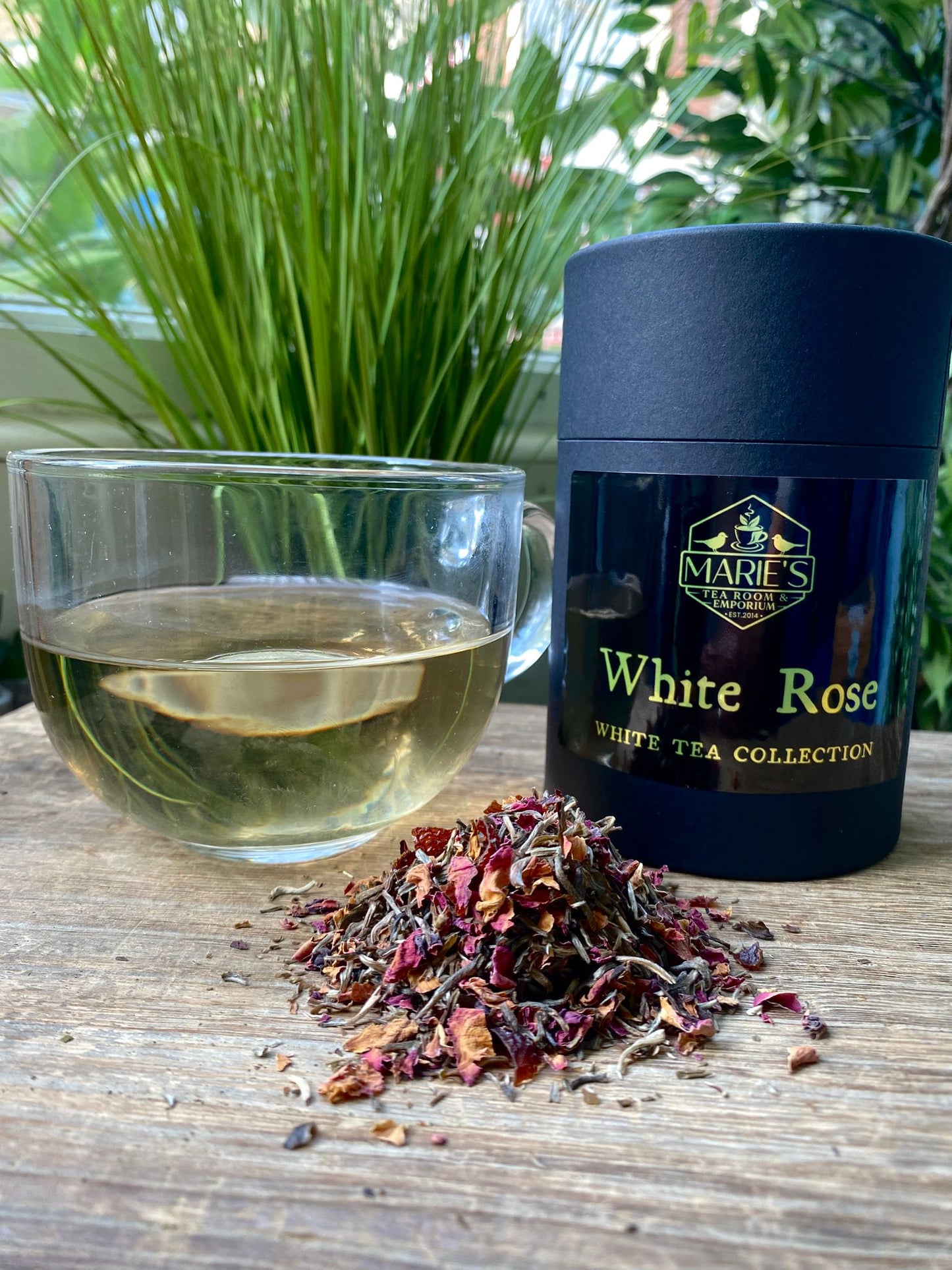 Clear glass cup of light-colored white rose tea next to a black container labeled Marie's White Rose on a wooden surface. Green plants in background.