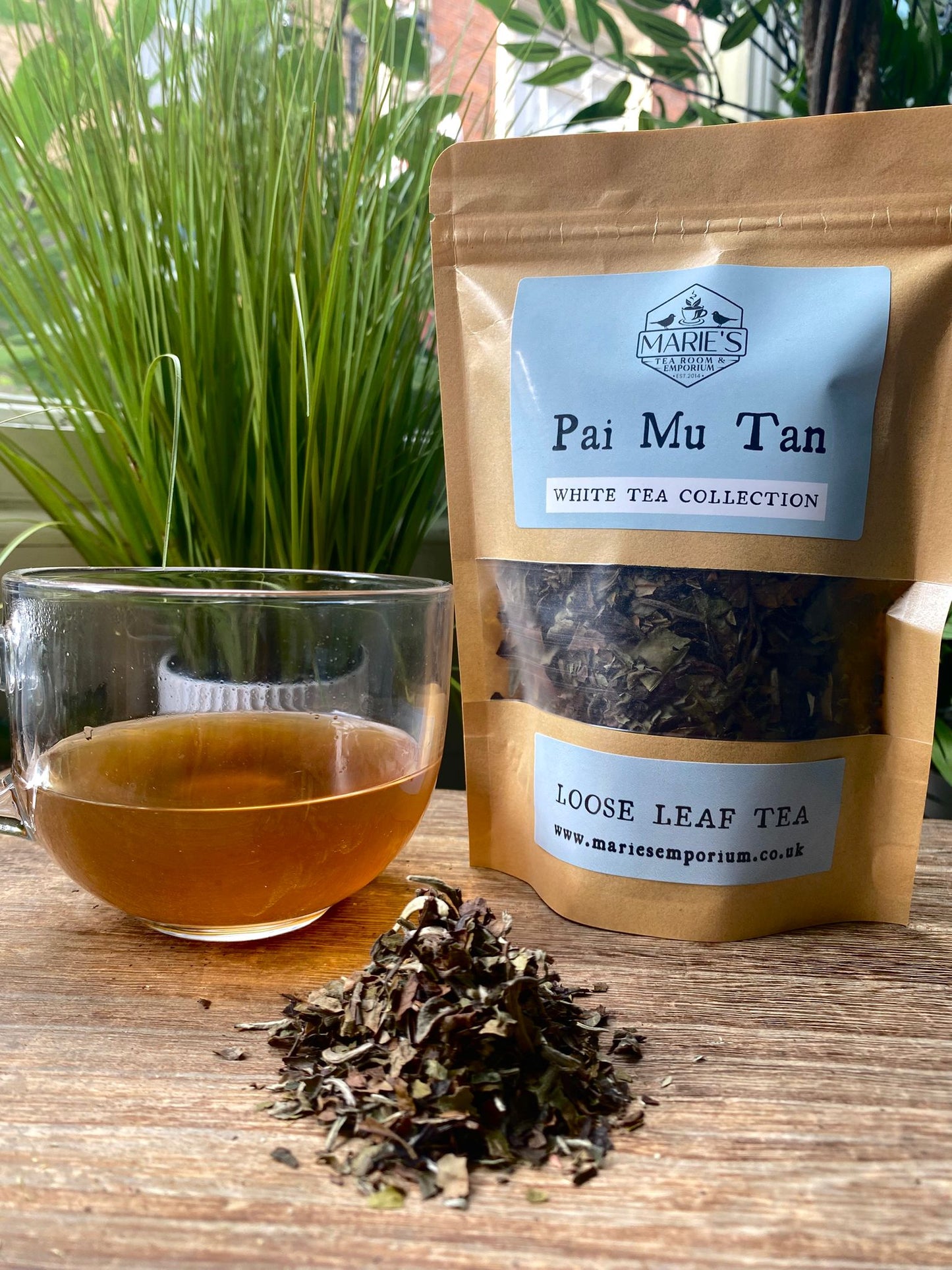 Tea - White - Pai Mu Tan