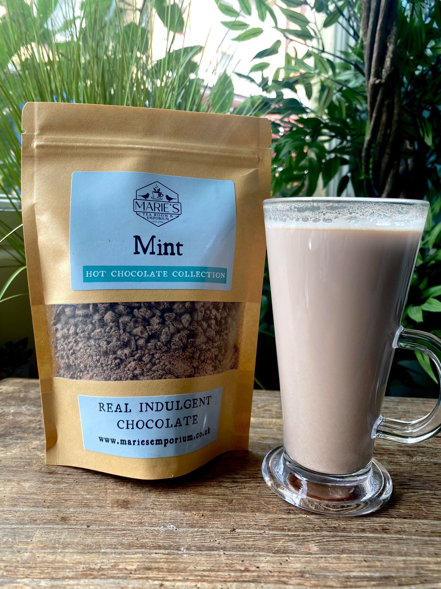 Hot Chocolate - Mint