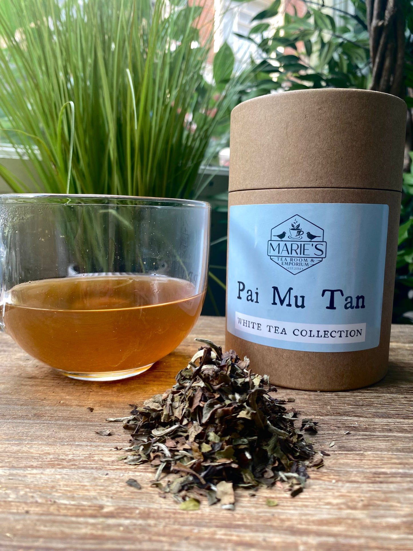Tea - White - Pai Mu Tan