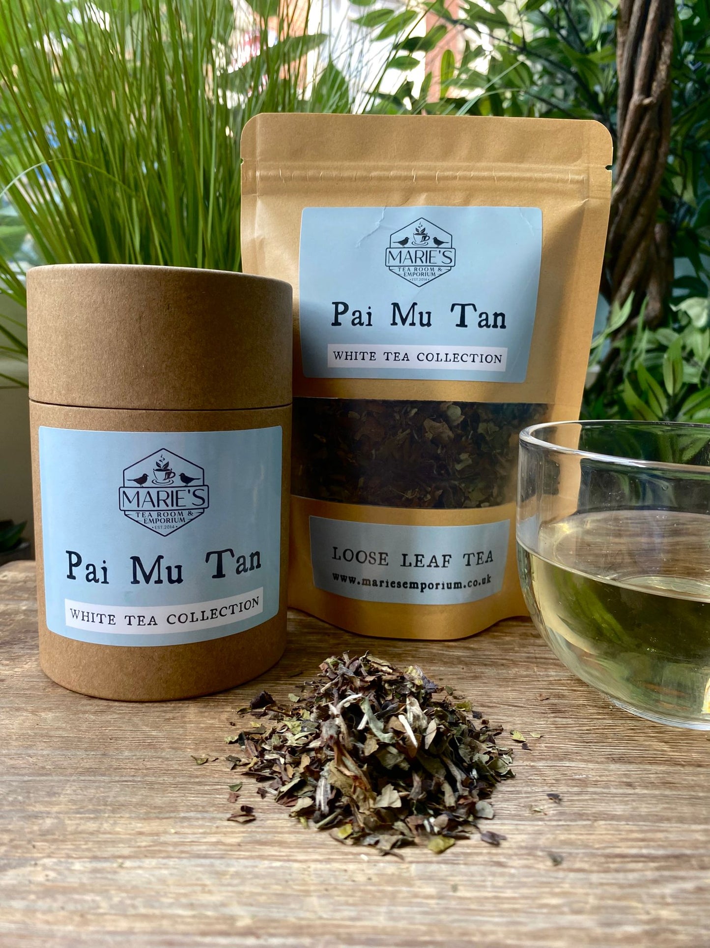 Tea - White - Pai Mu Tan