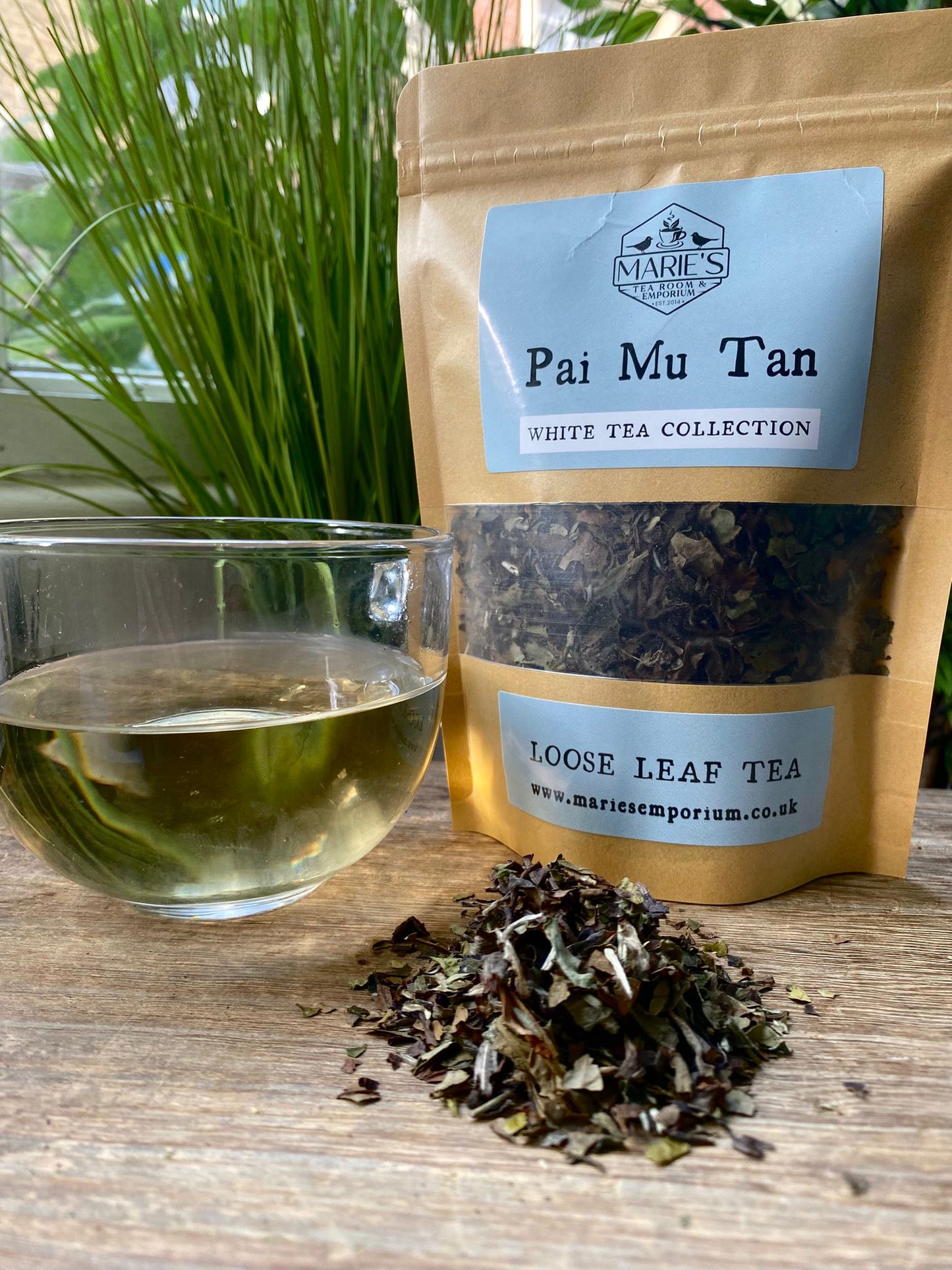 Tea - White - Pai Mu Tan
