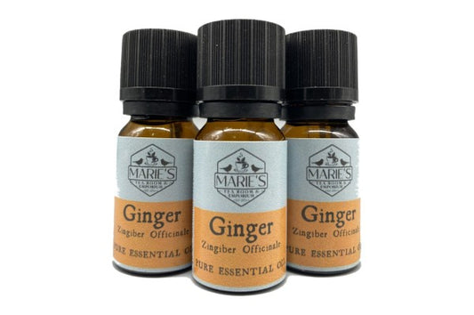 Essential Oil - Ginger - 10ml