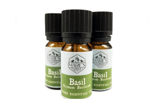 Essential Oil - Basil - 10ml