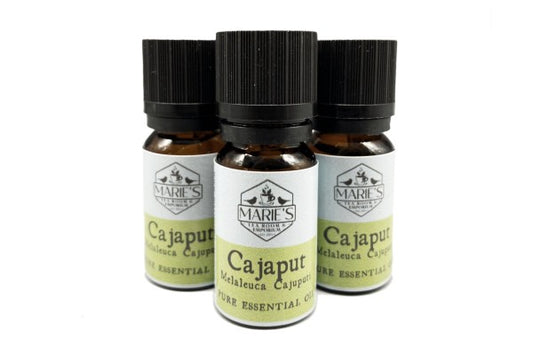 Essential Oil - Cajeput / Cajaput - 10ml