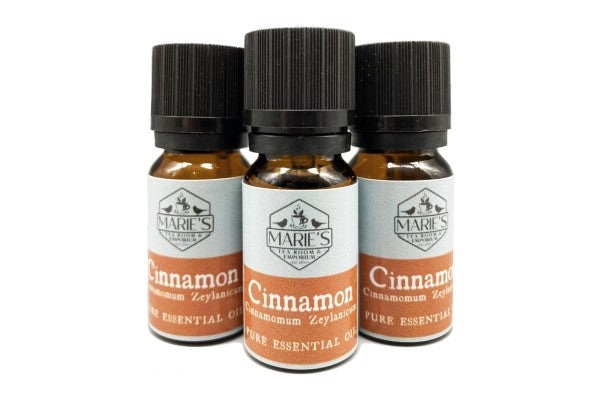 Essential Oil - Cinnamon - 10ml