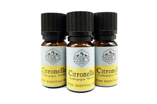 Essential Oil - Citronella - 10ml