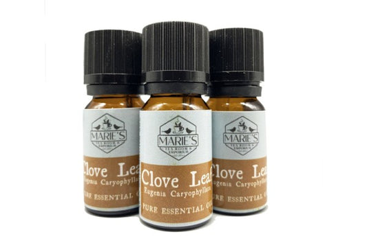 Essential Oil - Clove leaf - 10ml