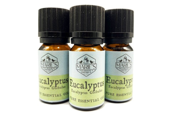 Essential Oil - Eucalyptus - 10ml