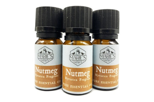 Essential Oil - Nutmeg  - 10ml