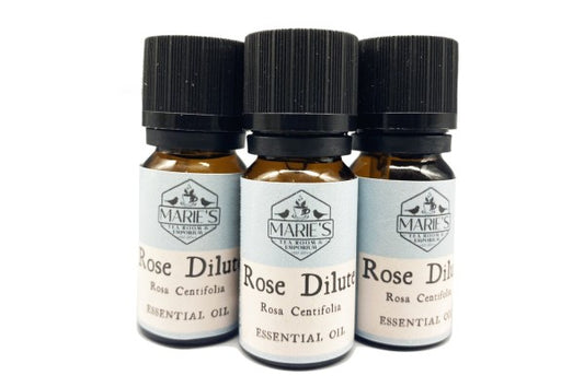 Essential Oil - Rose Dilute - 10ml