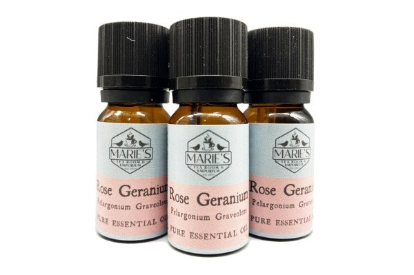 Essential Oil - Rose Geranium - 10ml