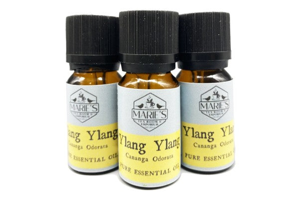 Essential Oil - Ylang Ylang - 10ml