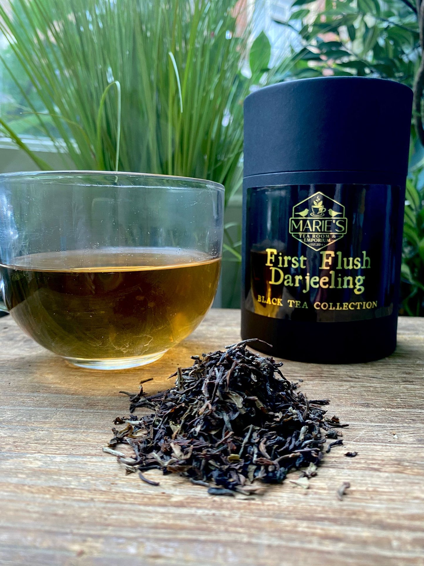 Tea - Black - First Flush Darjeeling