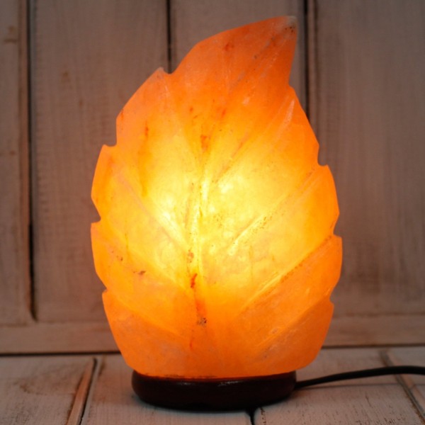 Himalayan Salt - Crafted Salt lamp - Fern