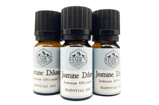 Essential Oil - Jasmine Dilute - 10ml