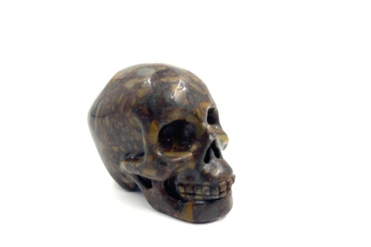 Carved - Skull - Jasper Brecciated