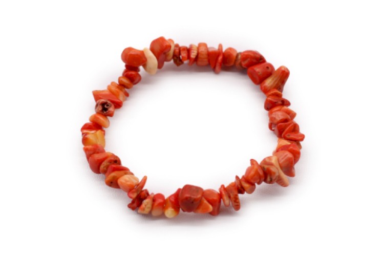 Bracelet - Chipstone - Coralite Bracelet