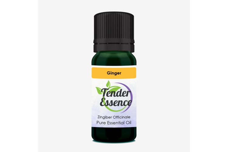 Essential Oil - 10ml Ginger Pure