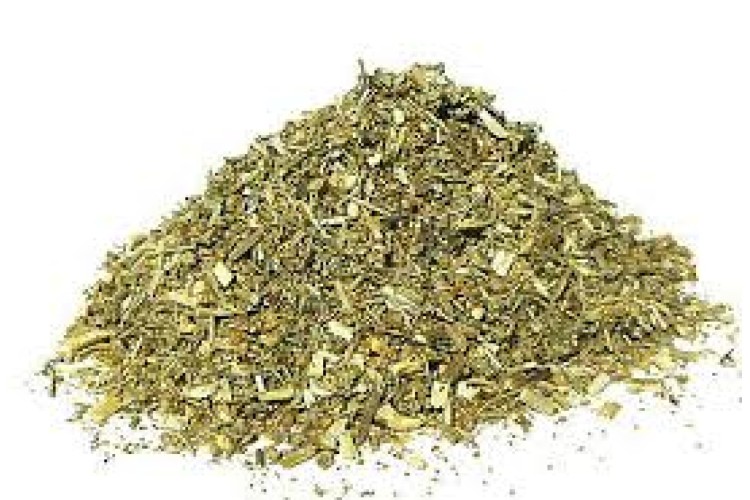 Herb - Wormwood - 100g